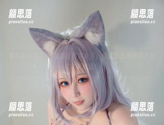 看KANEKO_咔喵的埃吉尔女仆，作品无圣光照亮了我的审美底线！