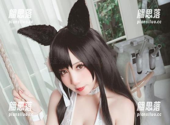 猫田圣奈奈的无圣光特辑，一点意外收获在情热方舟里。